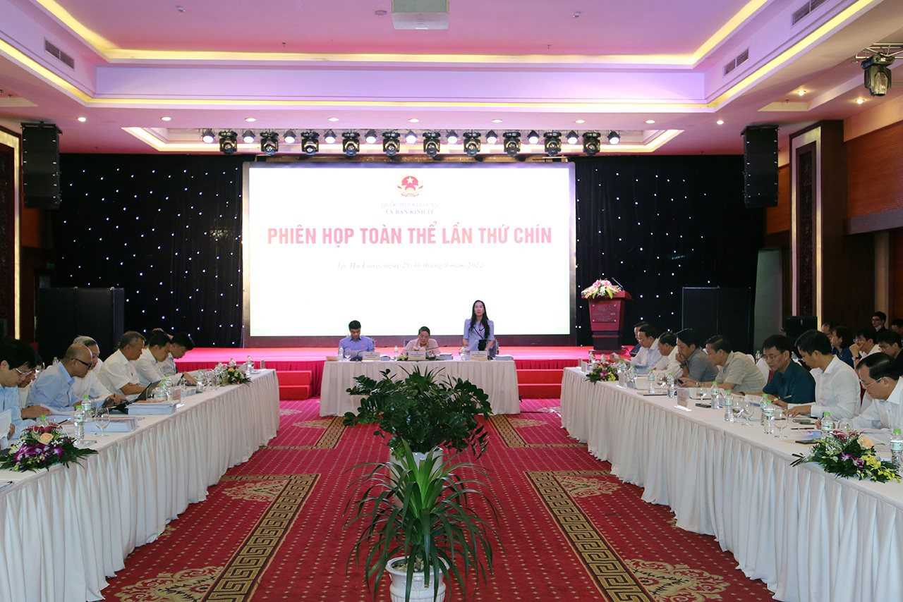 Phó Chủ nhiệm Ủy ban Kinh tế Đoàn Thị Thanh Mai gợi ý thảo luận và điều hành phiên họp trung-canh-ubkt